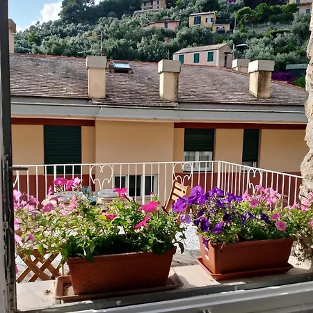 Oasi Camogli
