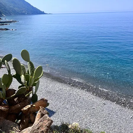 Διαμέρισμα Oasi Camogli